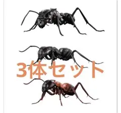 Item thumbnail for item 6d4bebdb-f451-4985-b3cf-7e0b6f7fd91b