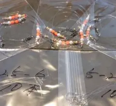 今日のわんこ様 リクエスト 3点 まとめ商品