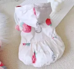 Item thumbnail for item b350f270-f177-451a-8288-8ee6a29ea444