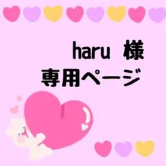 ♡ haru様専用出品♡