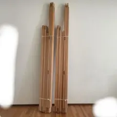 Item thumbnail for item 0257206c-7f07-4994-b8b2-94fbfde4c05d