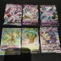 ム*ー様 ブイズセット