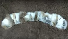 【earth music&ecology】ファー付きマフラー