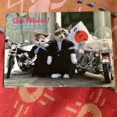 2025年最新】下敷き なめ猫の人気アイテム - メルカリ