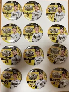 阪神タイガース　2023 アレ！くじ　缶バッチ