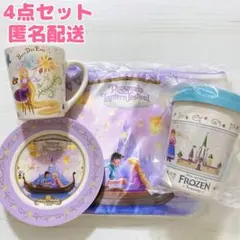 ファンタジースプリングス ラプンツェル アナ雪 スーベニア 4点セット 未使用