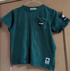 Tシャツ　グリーン