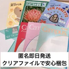 Item thumbnail for item 36e913d9-36cc-4e35-b1c8-ba8be12ec252