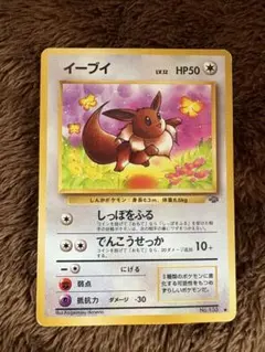 イーブイ ● 第2弾拡張パック ポケモンジャングル
