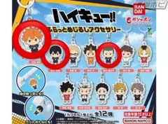【新品未使用】ハイキューキー目印チャーム