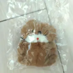 Item thumbnail for item 271a87df-9f88-4c31-86ff-08a797f41e56