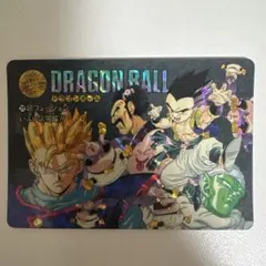 DBカードダス】ビジュアルアドベンチャー 第5集No.257【永遠の物語