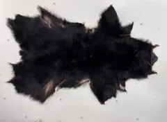 3個セット トモタケ 動物クッション ツキノワグマ 熊 フクロウ こぐま
