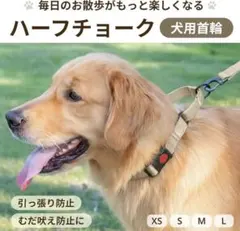 ハーフチョーク 犬用首輪 首輪　犬　M ドッグ　しつけ　ハーネス　リード　吠えのサムネイル