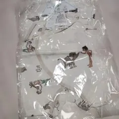 Item thumbnail for item 2fcc2913-c45f-48e4-ba21-caa5332f0fa0