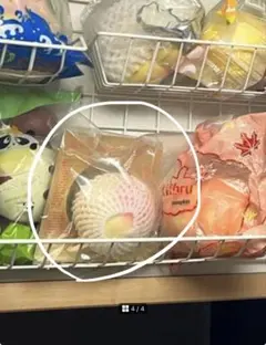 スクイーズ 3点 こた様