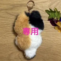 専用