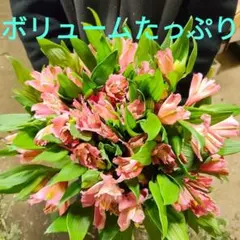 ゆうゆ様 リクエスト 3点 まとめ商品