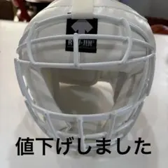 【値下げしました】RYUJIN 空手　ベッドギア　ヘッドガード