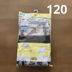 120 ブリーフパンツ