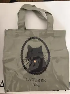 ⭐︎新品⭐︎ LADUREE ビニールバッグ 黒猫 フレンチブルのサムネイル