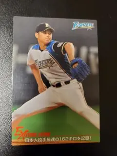 2026年最新】2015北海道日本ハムファイターズの人気アイテム - メルカリ