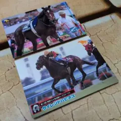 サイレントハピネス　2枚セット　トレーディングカード