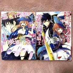 悪誉れの乙女と英雄葬の騎士 セット売り 小説 セット売り 夏野ちより 文庫