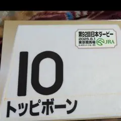 2025年最新】ゼッケン ダービーの人気アイテム - メルカリ