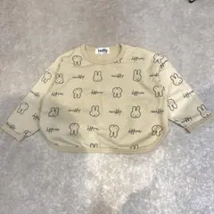 Item thumbnail for item b0441f7e-e6fe-465c-958d-c19a9307c2e7