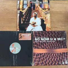 Masta Ace レコード3枚セット A Long Hot Summer