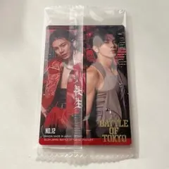 武知海青 ウエハース BOT トレカ ROWDY SHOGUN MARINE