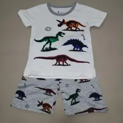 新品★恐竜 ダイナソー セットアップ