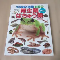 小学館図鑑NEO　[新版]　両生類・はちゅう類　カバー・DVD付き