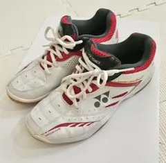 Item thumbnail for item 676b47a6-733f-48b8-8699-b028e54c2b46