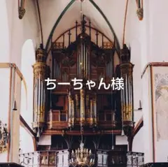 コメントご確認下さい ちーちゃん様 リクエスト 3点 まとめ商品