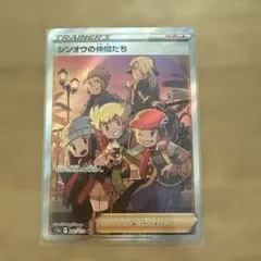 シンオウの仲間たちsar - メルカリ