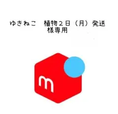 ゆきねこ　植物２日（月）発送様専用