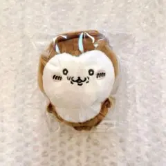 Item thumbnail for item 16858136-f638-488e-8dd9-9ea87bc21ac3