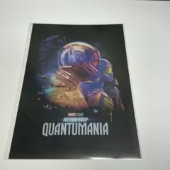 アントマン ワスプ QUANTUMANIA メタリックカード 東京コミコン限定