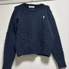 ネイビーニット