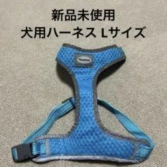 Item thumbnail for item fa47edf1-a9d7-447c-9c45-f8cdb2c88879