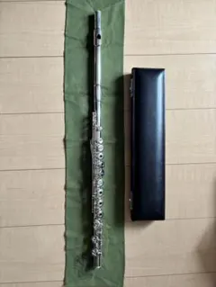 Item thumbnail for item 52eb3bca-a16d-4893-8813-40d0a2c5bc76