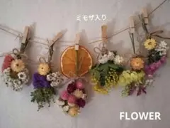 Item thumbnail for item d1bbb32d-1354-41ce-b95a-3cdbaab41329