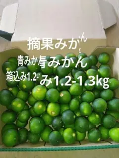 ハウススダチ 家庭用 4キロ 入札式 - メルカリ