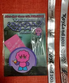 shinee key アイドル