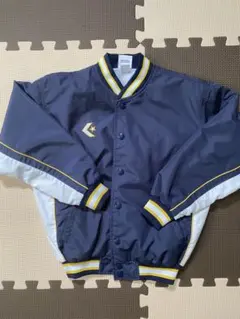 Item thumbnail for item cb679d81-7d0a-4bab-bd46-71404d43ce08