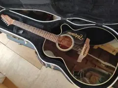2026年最新】TAKAMINE CTP-1の人気アイテム - メルカリ