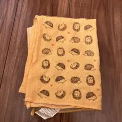 Item thumbnail for item 8cf41525-30a3-498f-a060-f8de3e3bc9cc