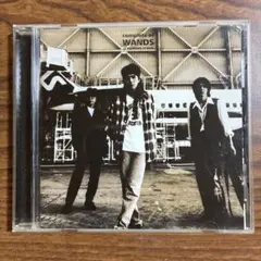 2026年最新】complete of wands at the being studioの人気アイテム